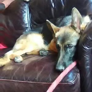 Meet your Posher, Candace